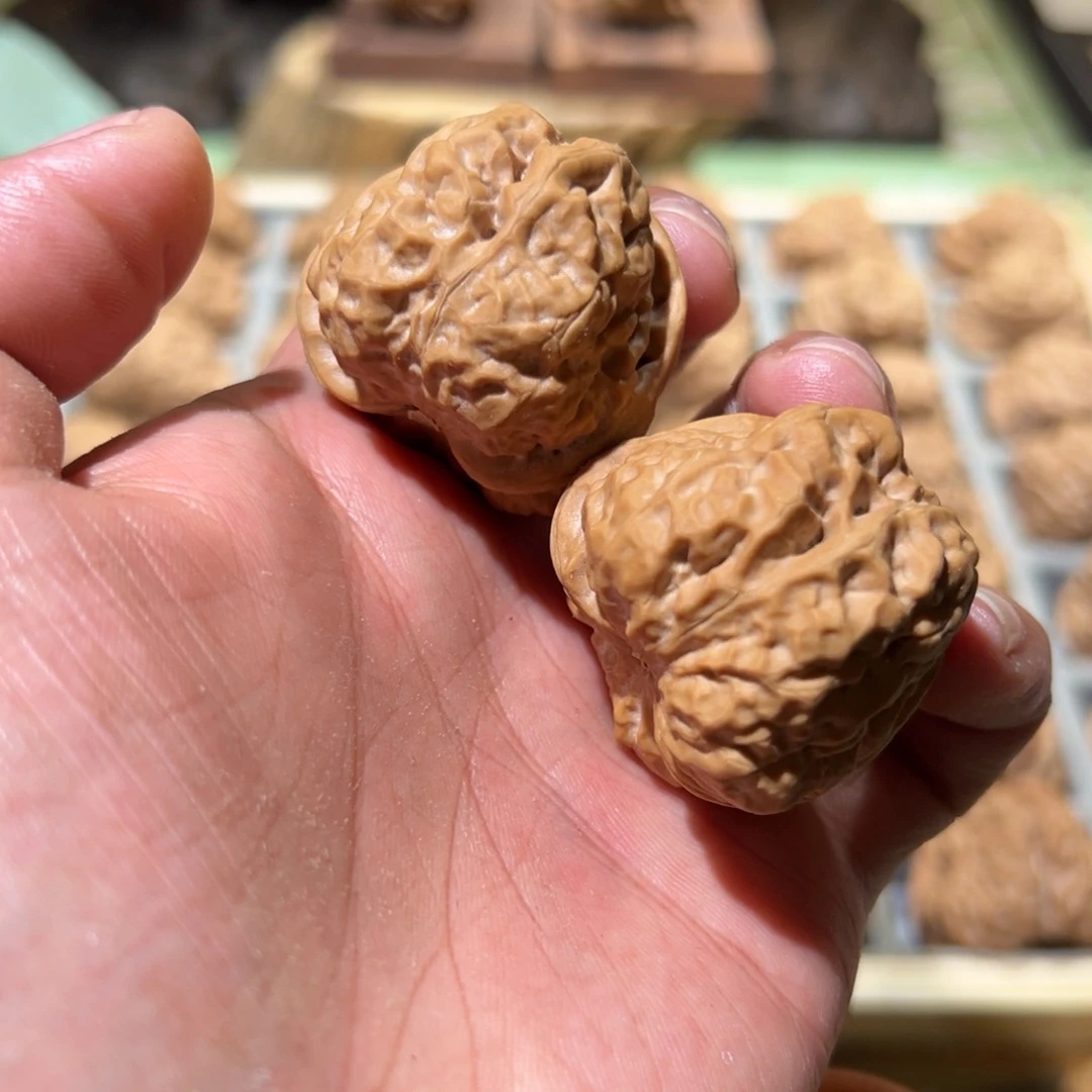 根***三菩提籽类文玩核桃蛤蟆头