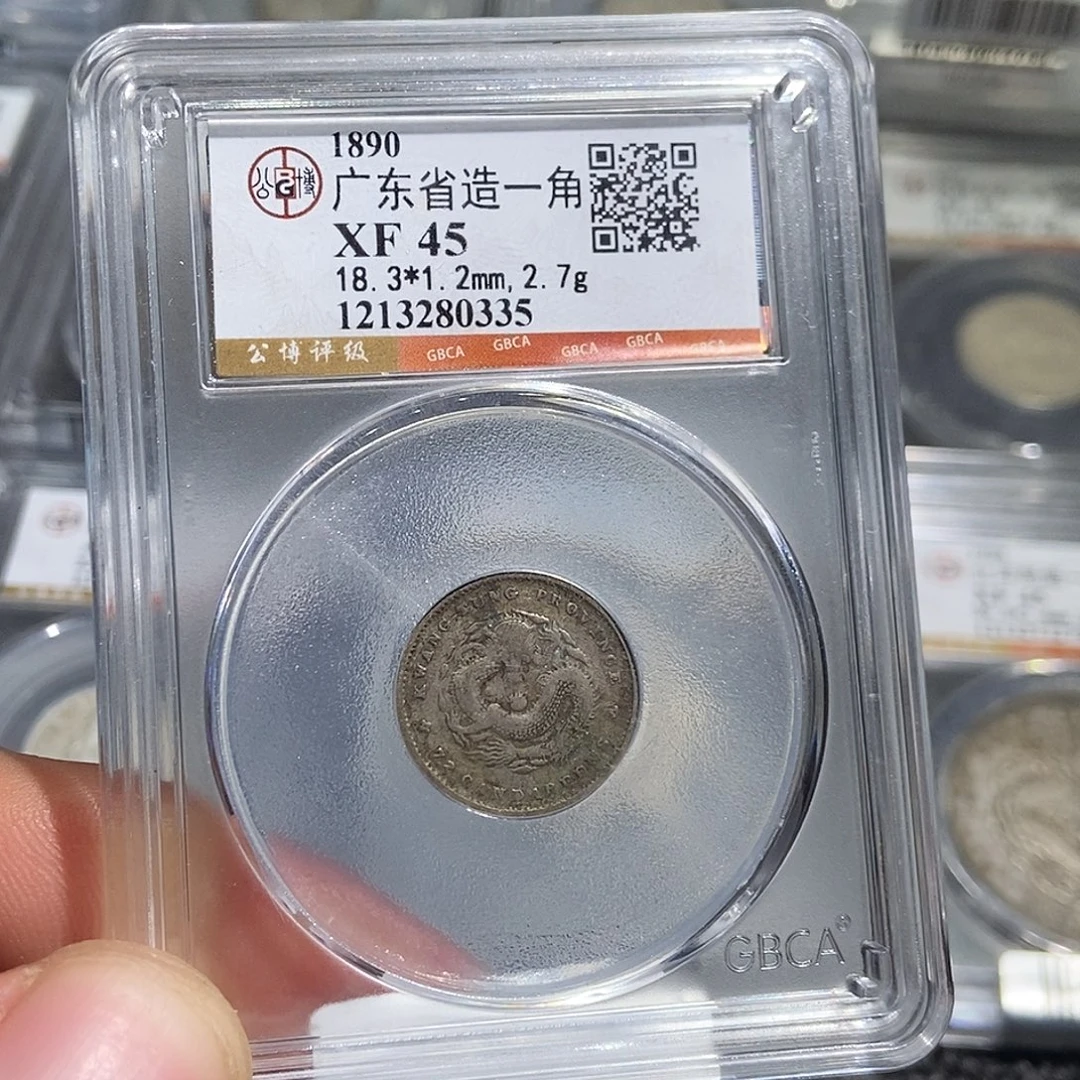 银大头广东一角龙0335