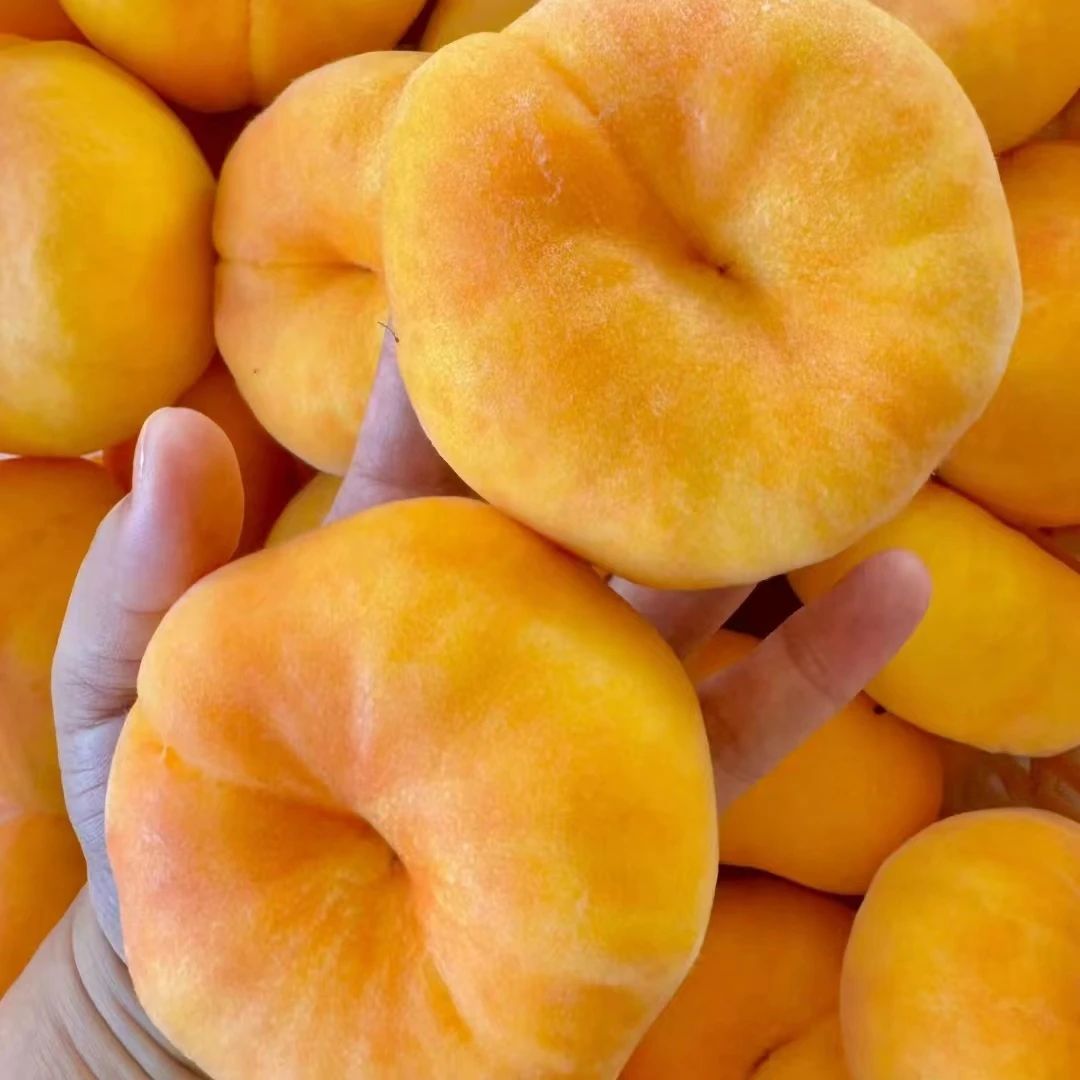 【黄毛蟠桃】山东蒙阴黄金毛蟠桃新鲜水果黄毛桃子爆汁水蜜新鲜多汁