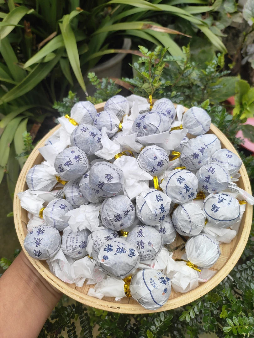 2025年头春锅底塘古树挑采高货小龙珠