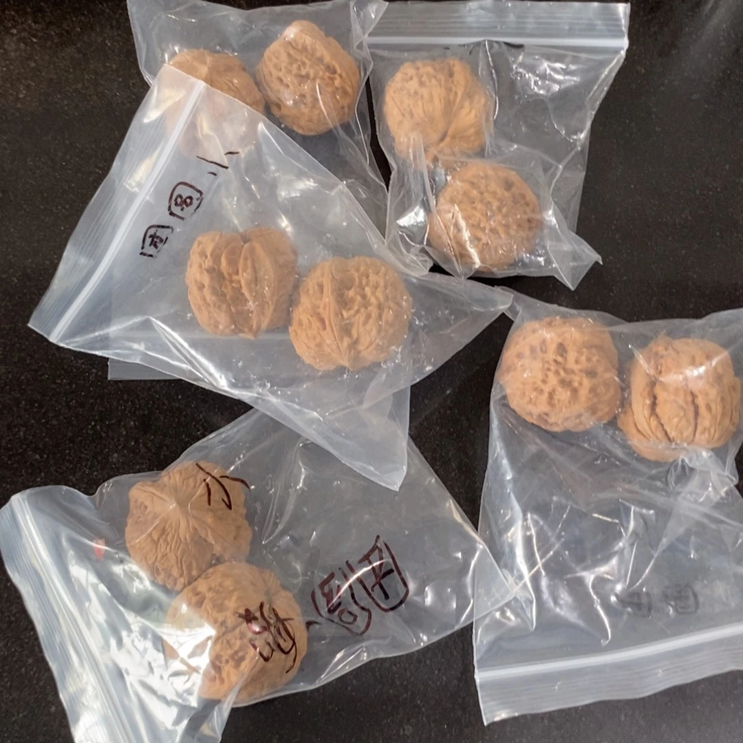 文玩核桃吊坠小团圆