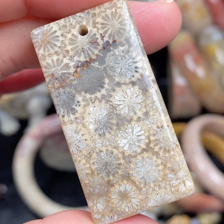 硅化玉未镶嵌颈饰