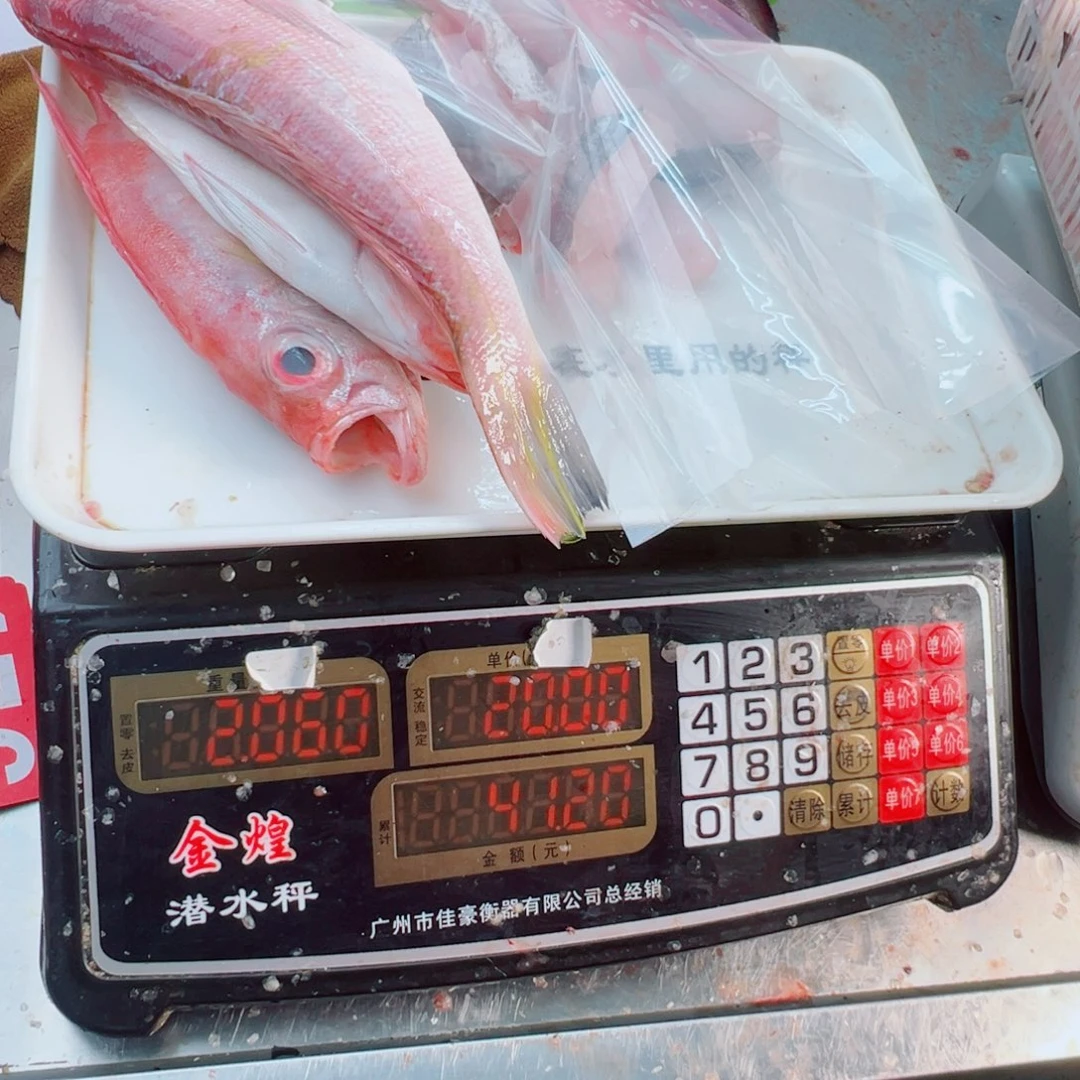 中国大陆杂鱼野生