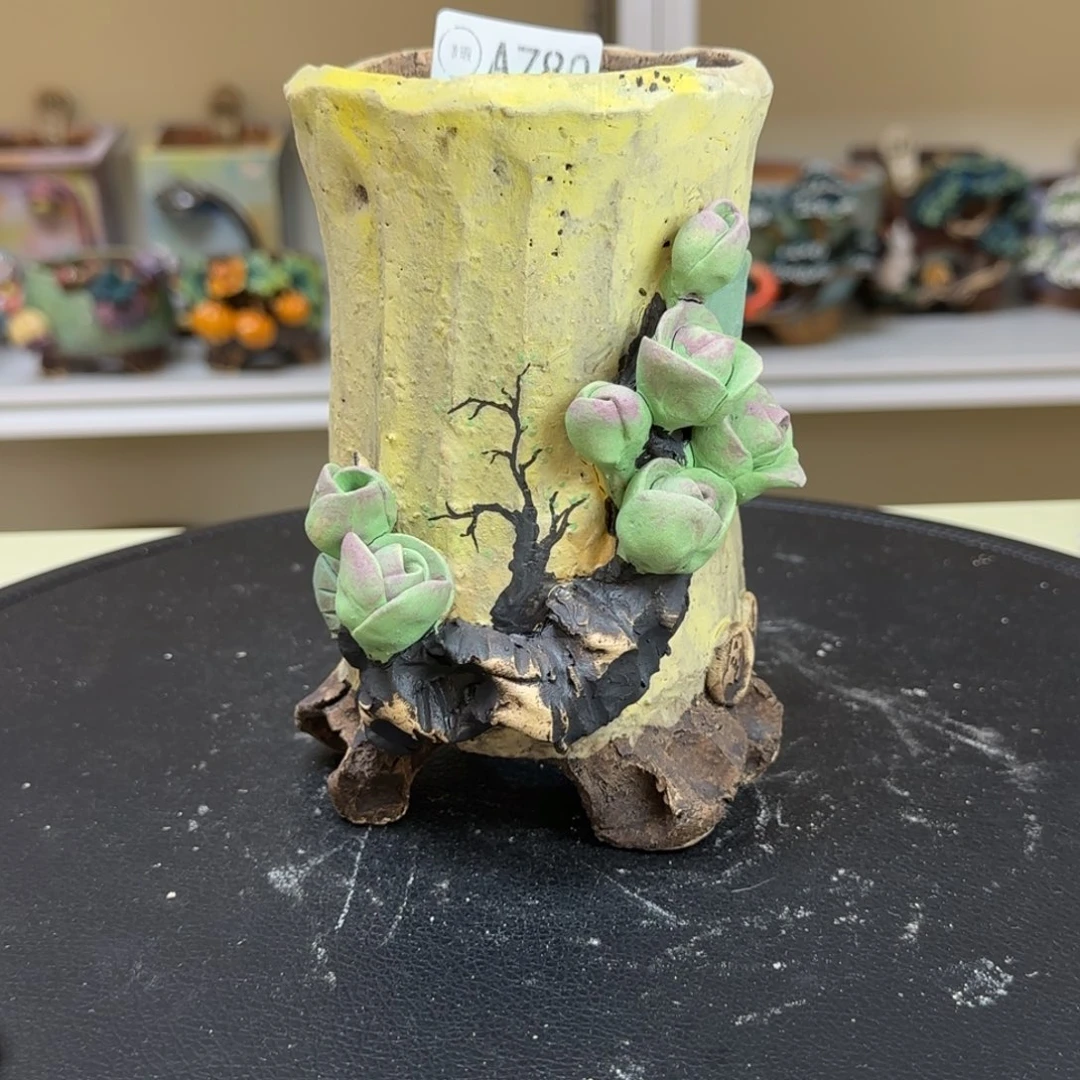 A780 【闪购】多肉花盆