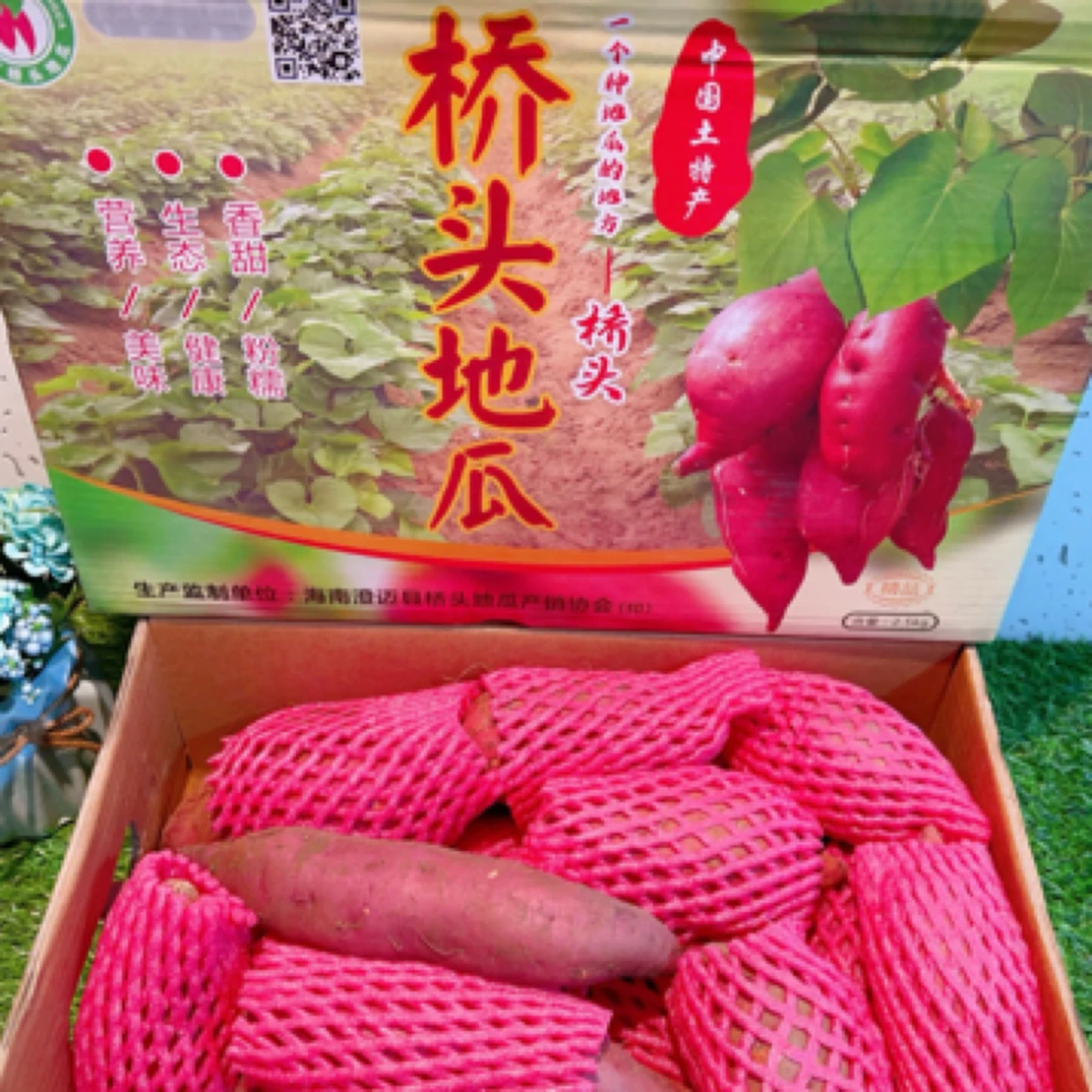 海南沙地桥头地瓜带箱约5斤新鲜