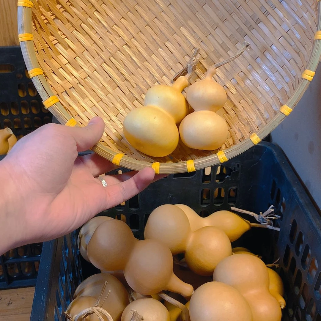 全品八宝，不退不换