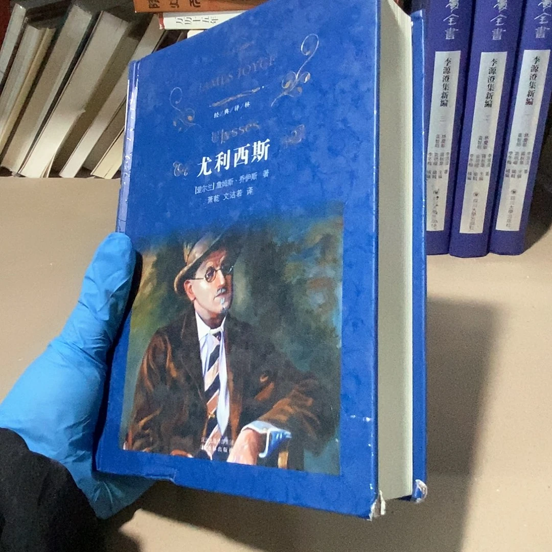 瑕疵破  尤利西斯