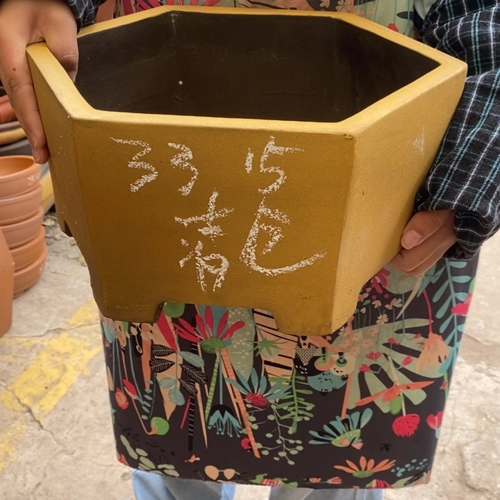 紫砂花盆只顾吃药睡一