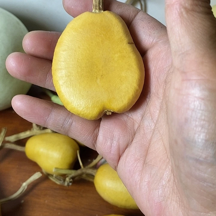 嘟****青皮葫芦手把件摆件