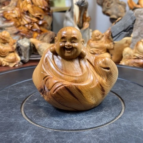 柏木（崖柏）v b b h h h h j j j j