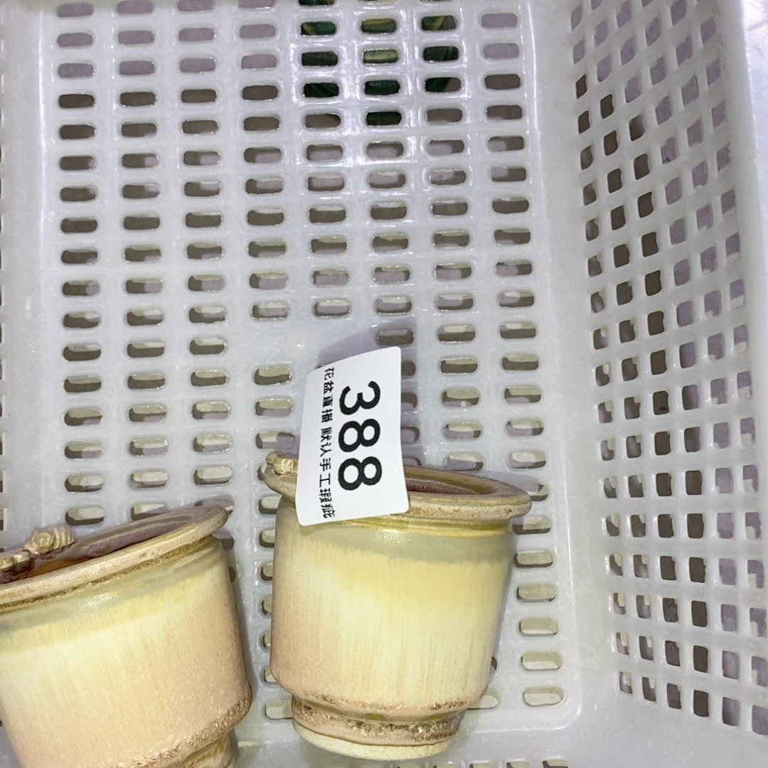 陶瓷不*徐花盆花盆花盆点赞福利