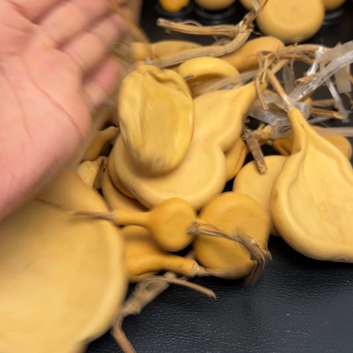 ?*?2266666669999666555669