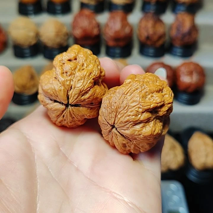 文玩核桃把件云铁金蟾38尺