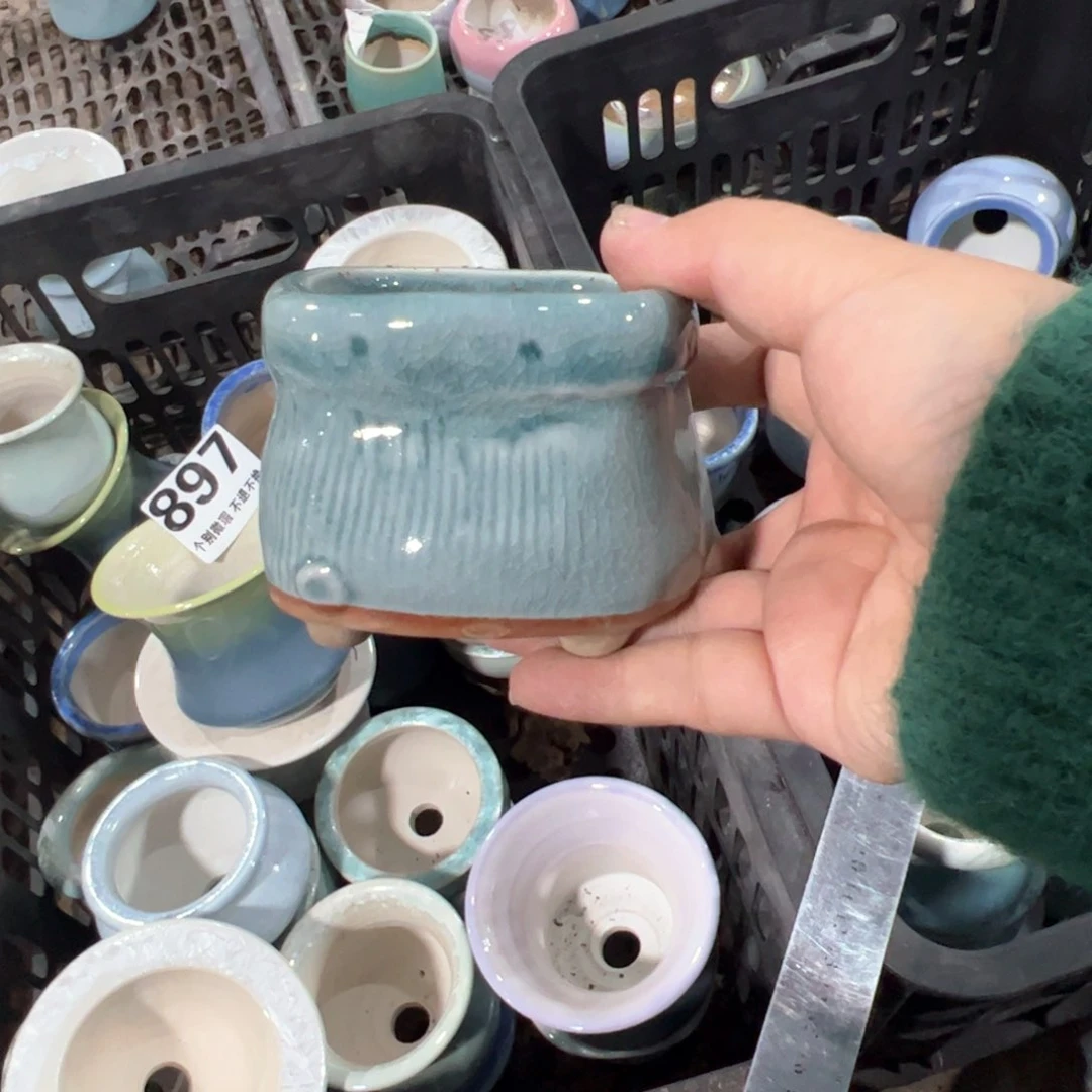 只随单只随单内口6