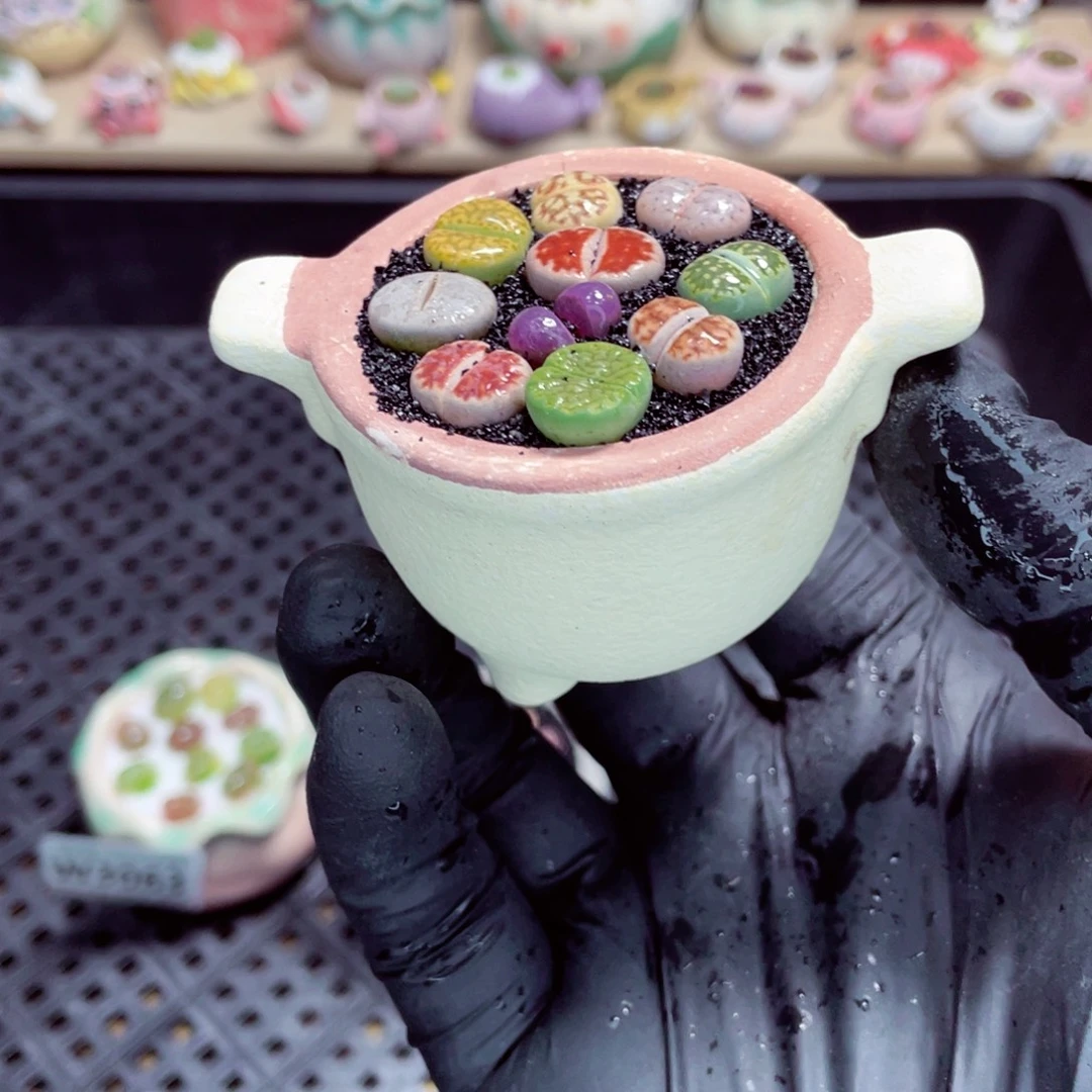 夜间零下地区拍保温箱w3064