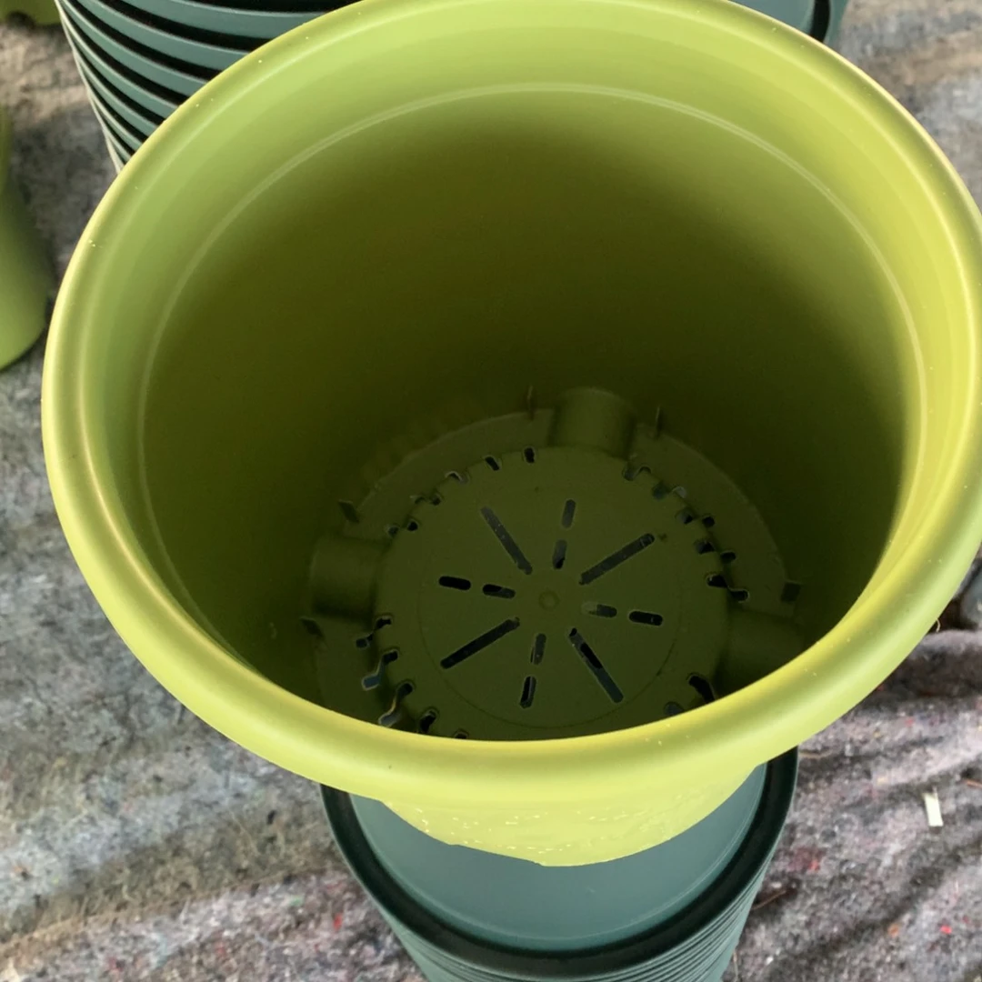 红陶T****A25口果绿带拖6个