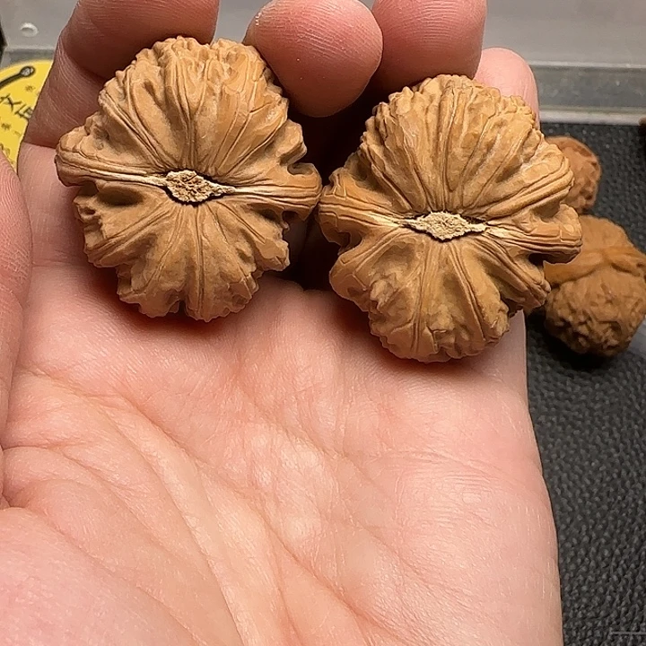 把件文玩核桃7白狮子39尺精修