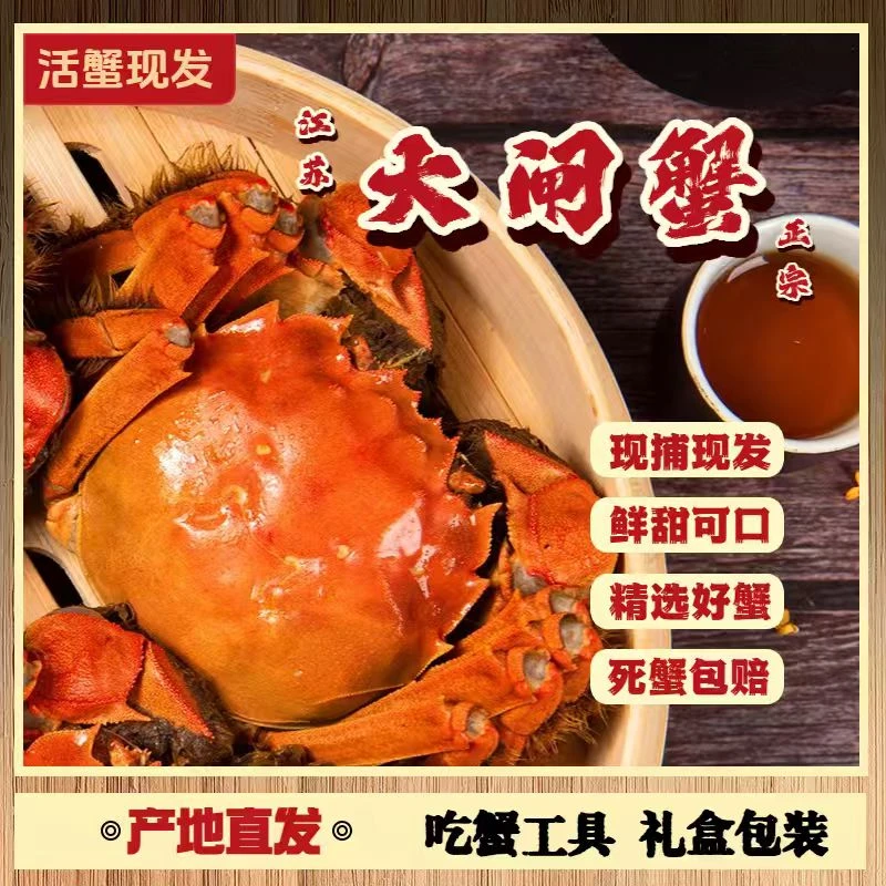 【活蟹现发】鲜活大闸蟹 公4.5-4.2两-母3.5-3.2两 6只/8只/10只 L