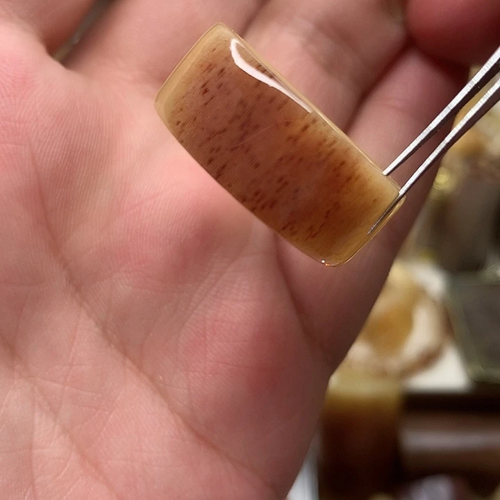 竹类35000000000000000