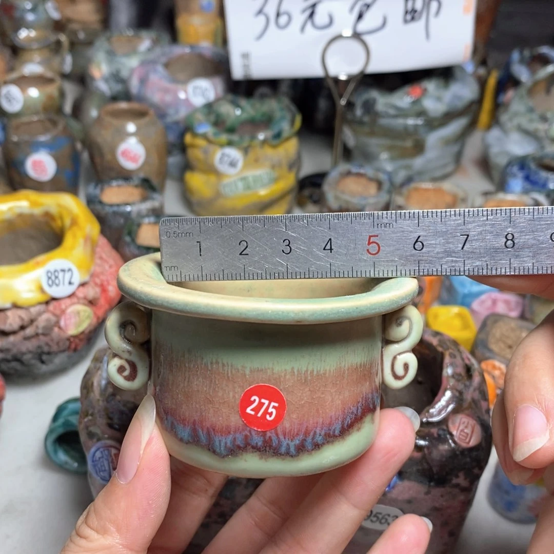 拍5送一个小礼物