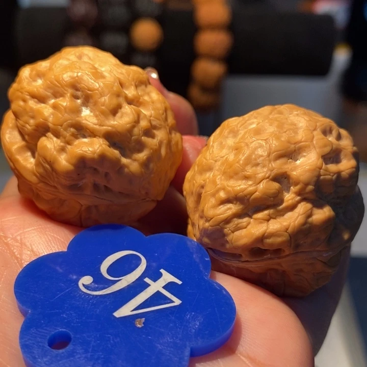 魔鬼肌肉蟾37尺寸