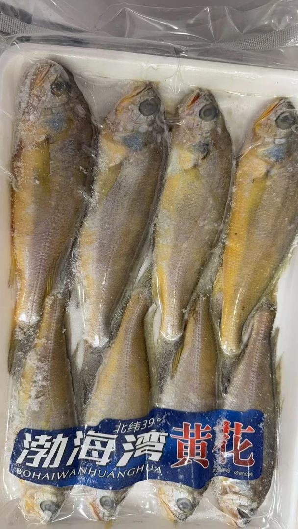 本地黄花鱼-三斤顺丰包邮