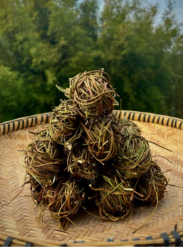 新客立减  广西直发正品鸡骨草益肝煲汤中药材无硫天然新鲜鸡骨草