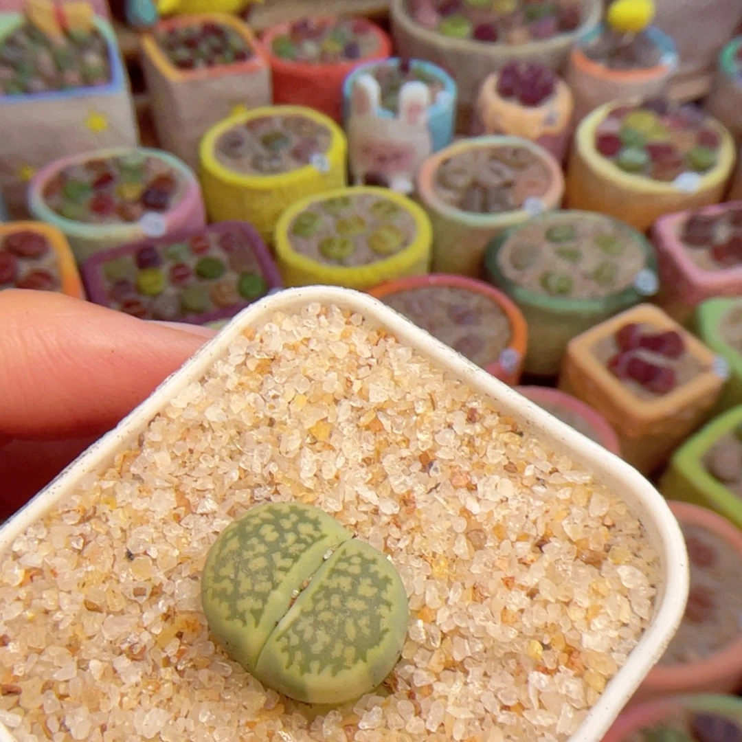 017。880888888888888888888