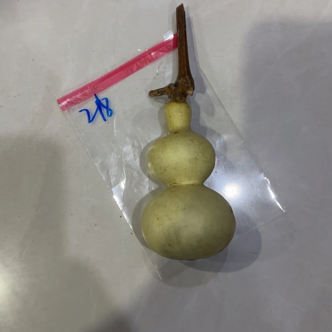 用***7青皮不包成青皮不包成