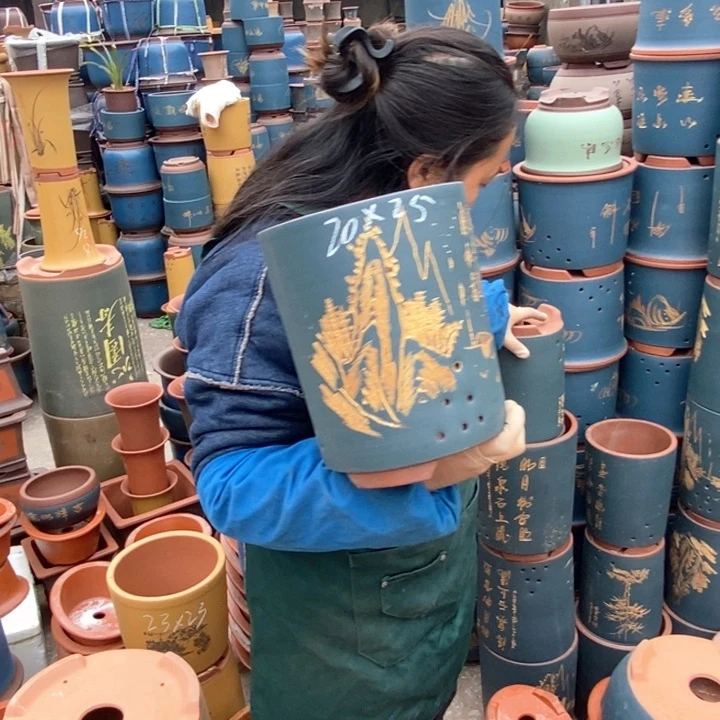 紫砂花盆盆栽花卉苗木种植