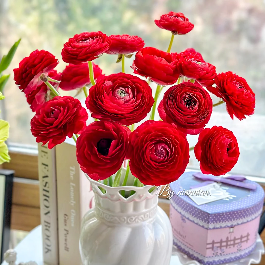 【新品福利】混色洋牡丹高品质自有基地智慧温室直发次日达白玫瑰家用鲜花花束山东鲜切花同城