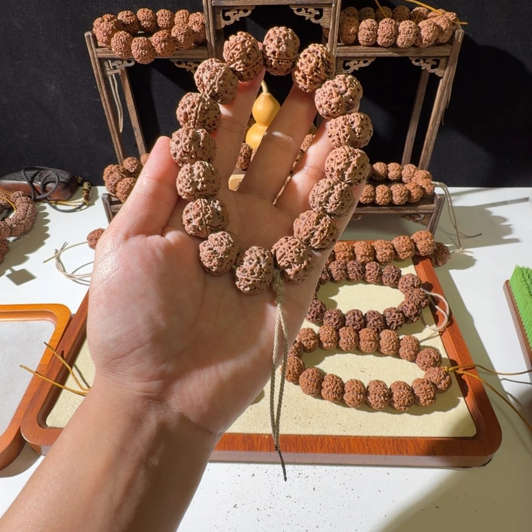 吊坠金刚菩提20尺寸红皮梅花超头