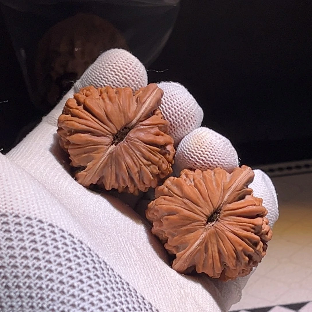 寄***森全品40精对。楼西。