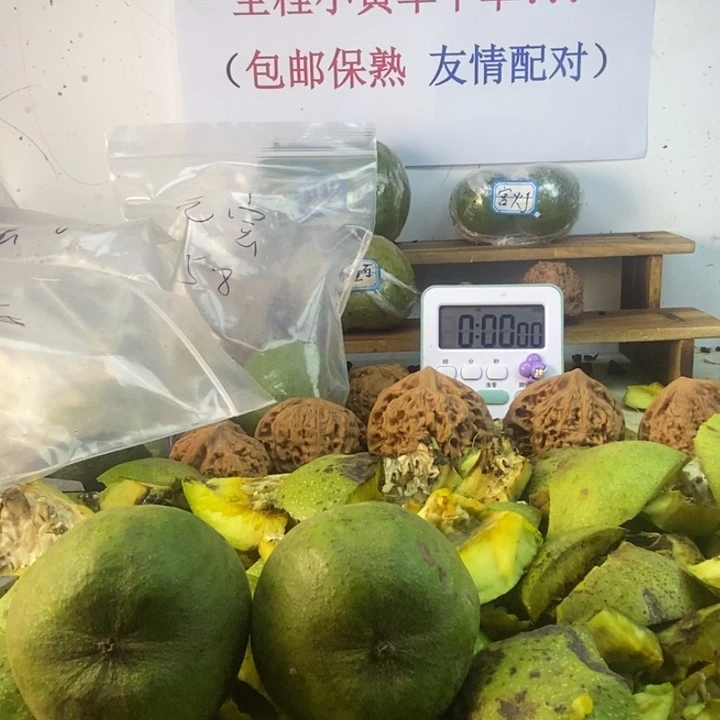 吊坠文玩核桃52蛤蟆头34米