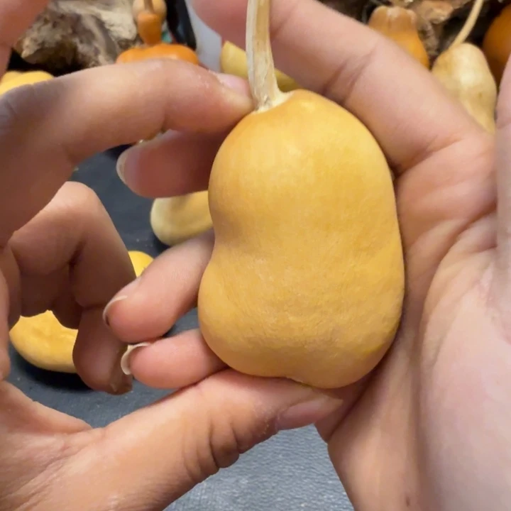 童***机88…………………………………………