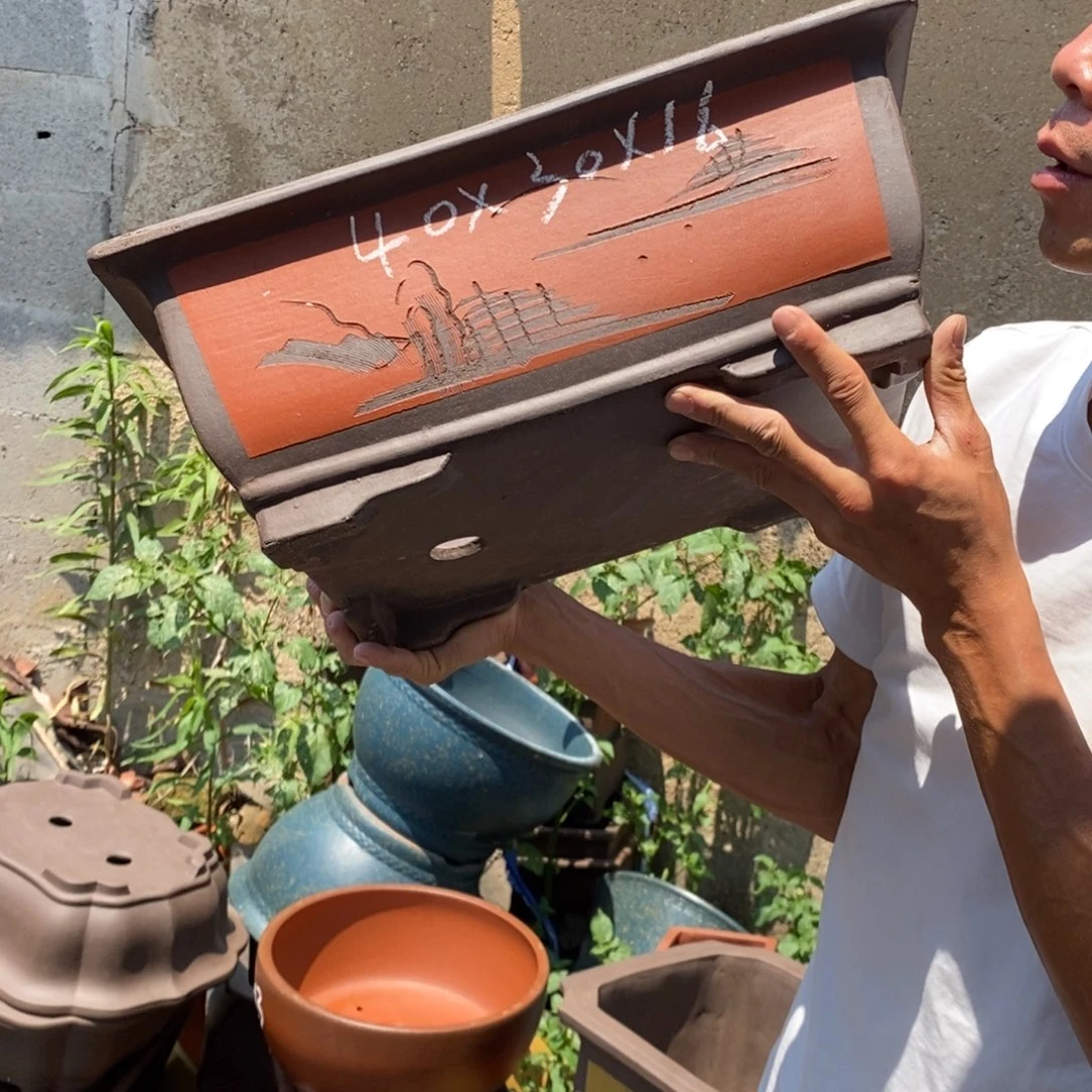 紫砂花盆紫砂壶的时候我也是