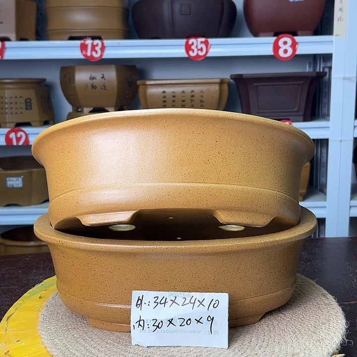 花盆紫砂你在一起