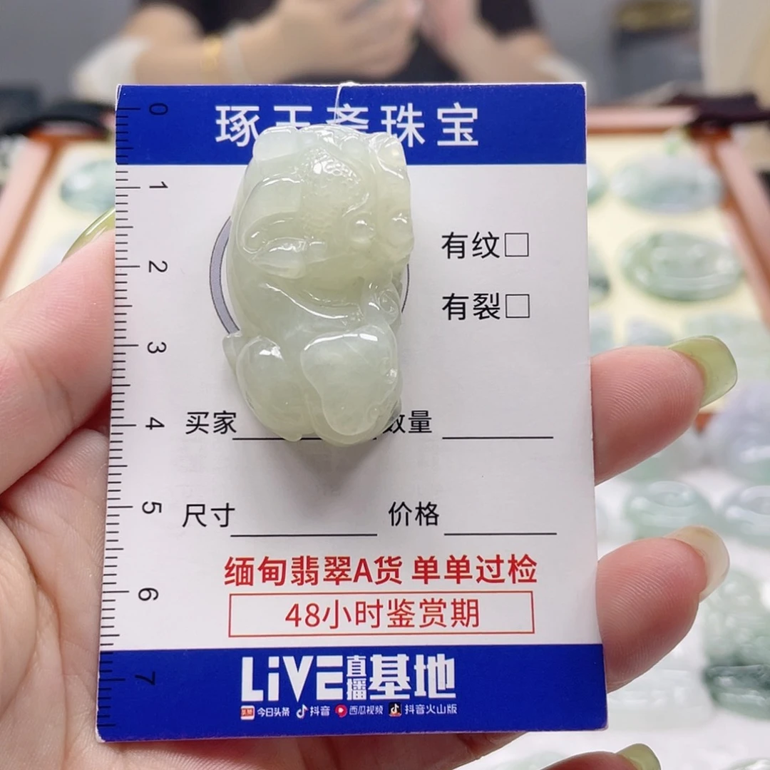 颈饰未镶嵌翡翠貔貅