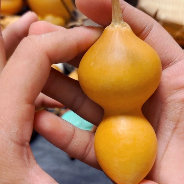 雷*888888888888888888888