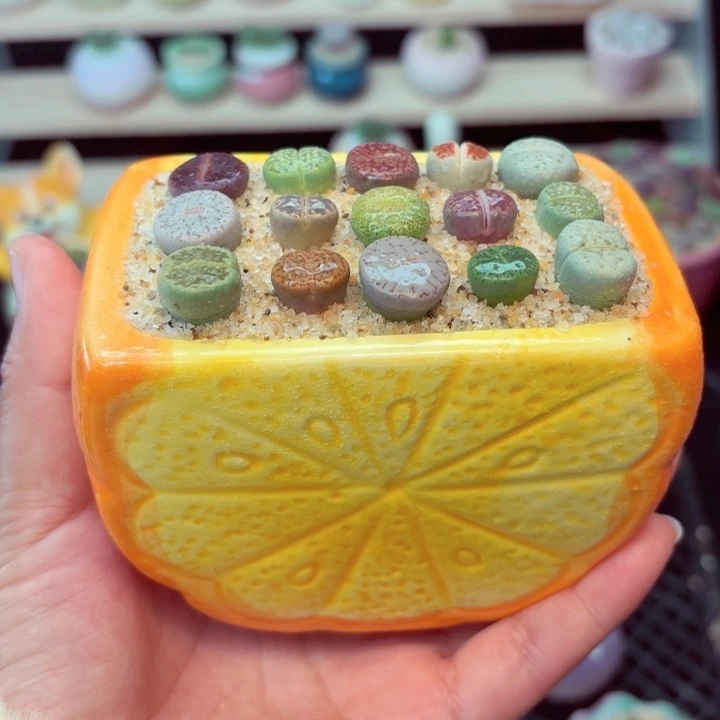 8025零下地区记得拍保温箱