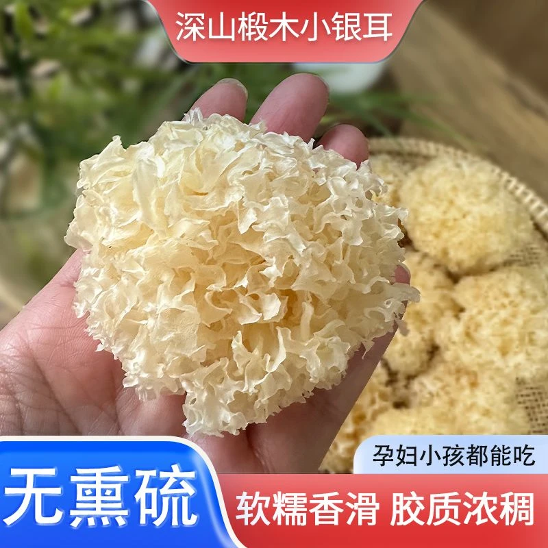 深山椴木小银耳干货糯银耳羹古田雪耳无硫易糯出胶碎丑白木耳糯耳