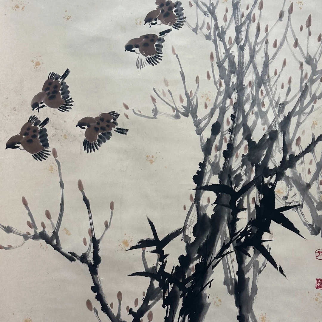 DY5418孙先生 花鸟 纸本65*67 2369