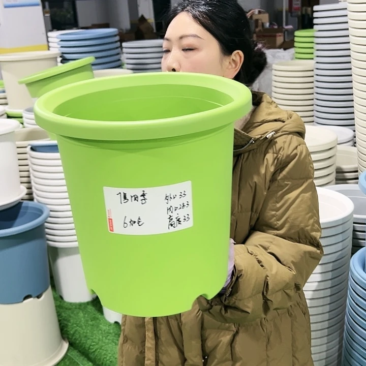 特价7号四季口33高33白色4只无托