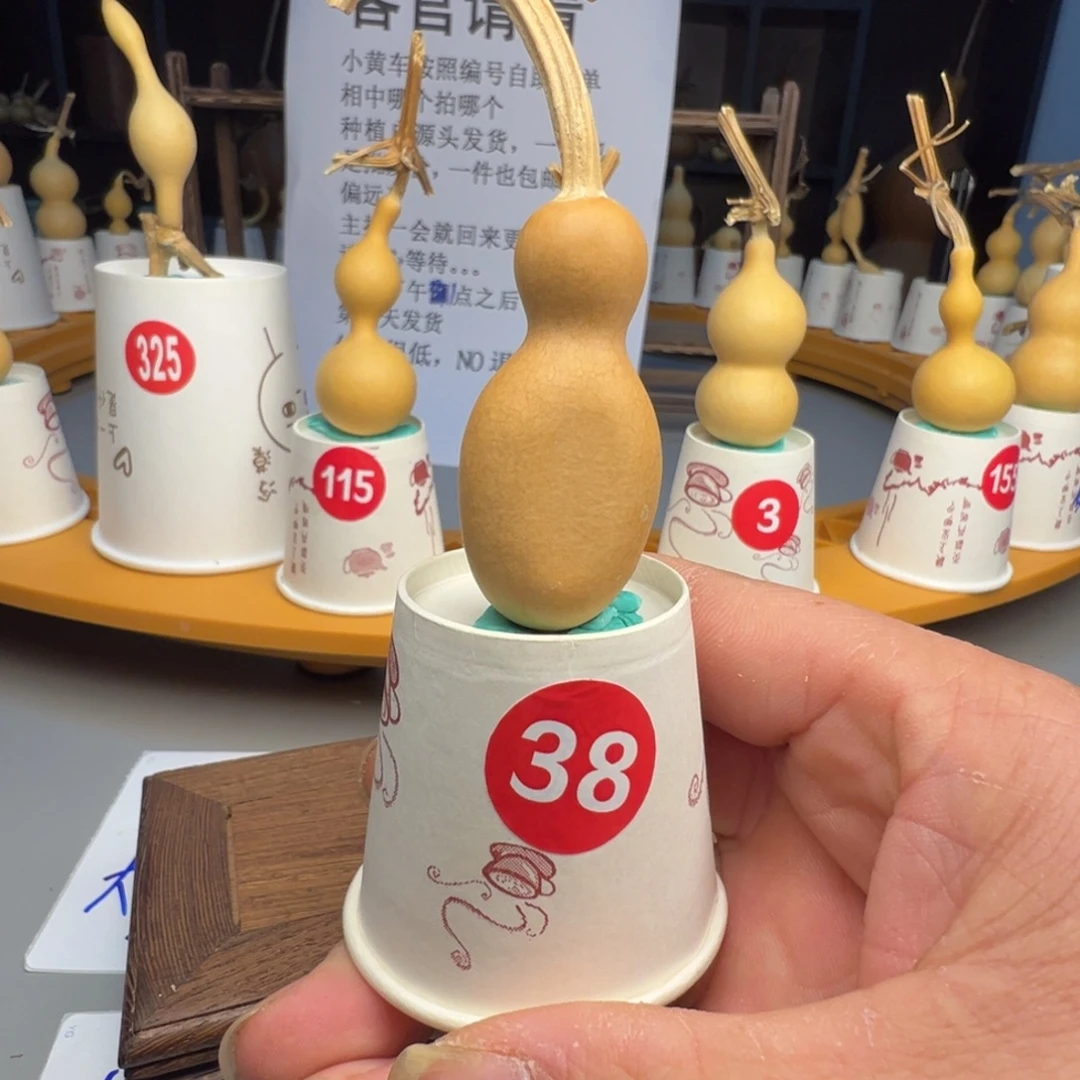 ****~闪电购自助下单编号38福利