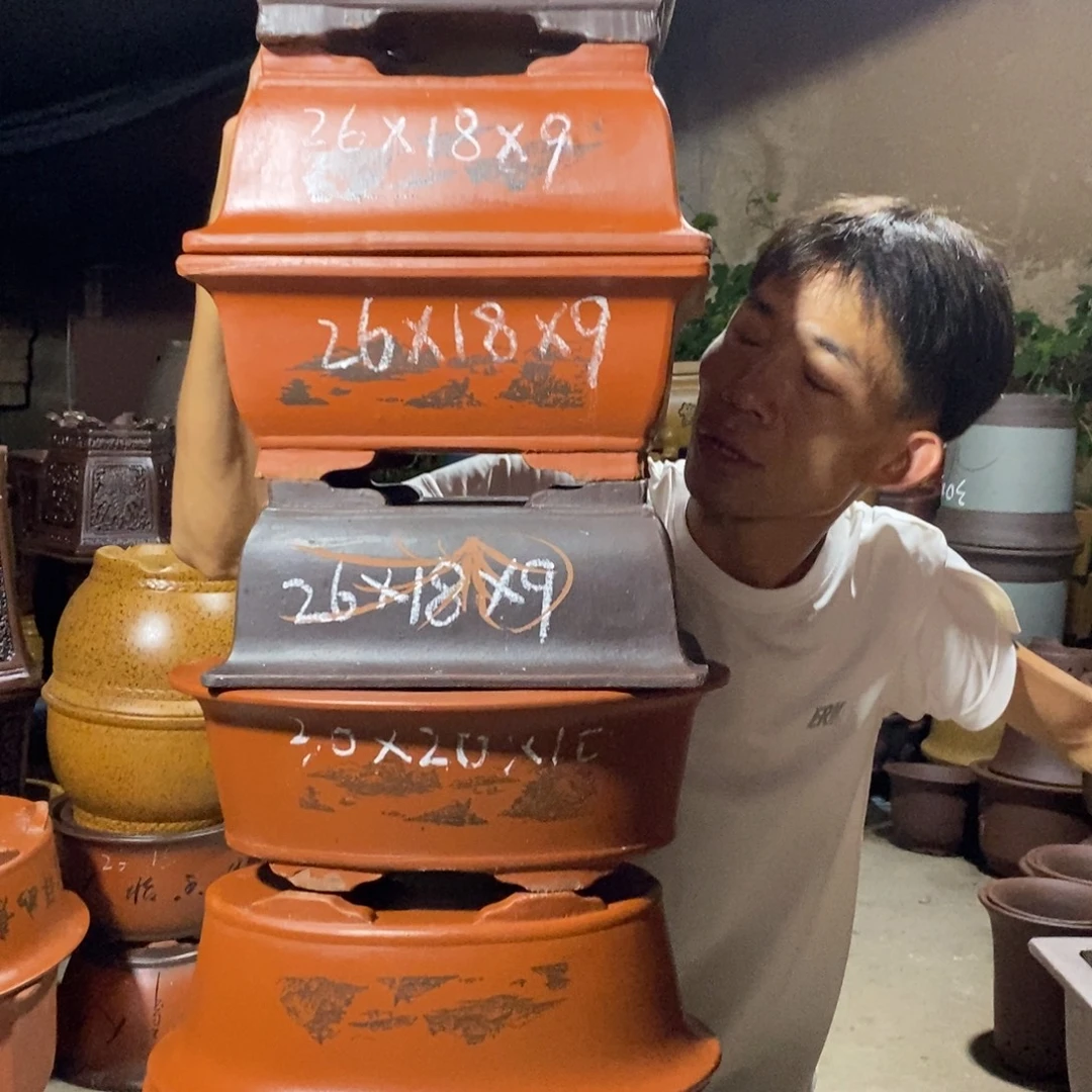 紫砂紫砂紫砂紫砂
