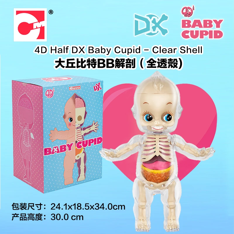 潮玩手办模型集多美4D Master大丘比特BB解剖(全透壳) 629603