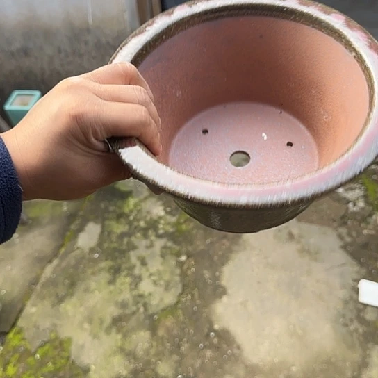 是一个集休闲农业生产开发的园区的中心村