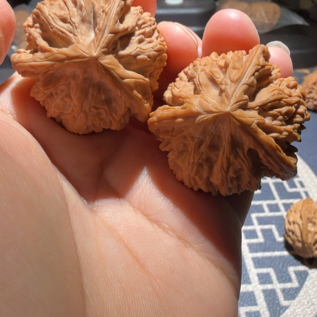 把件文玩核桃御龙正奔