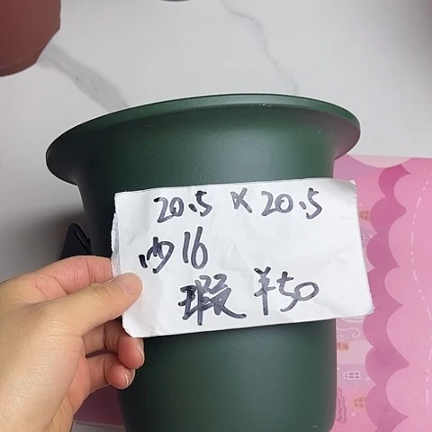 红陶紫砂22222222