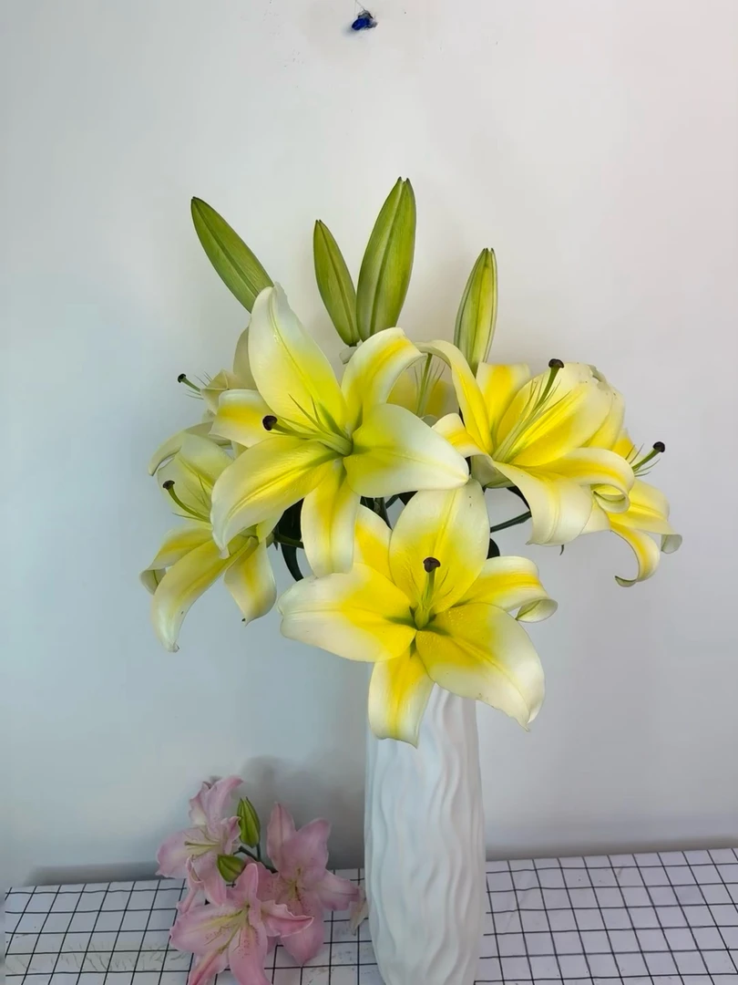 【云南源头基地直发】黄天霸香水百合【0°以下地区请拍保温棉】